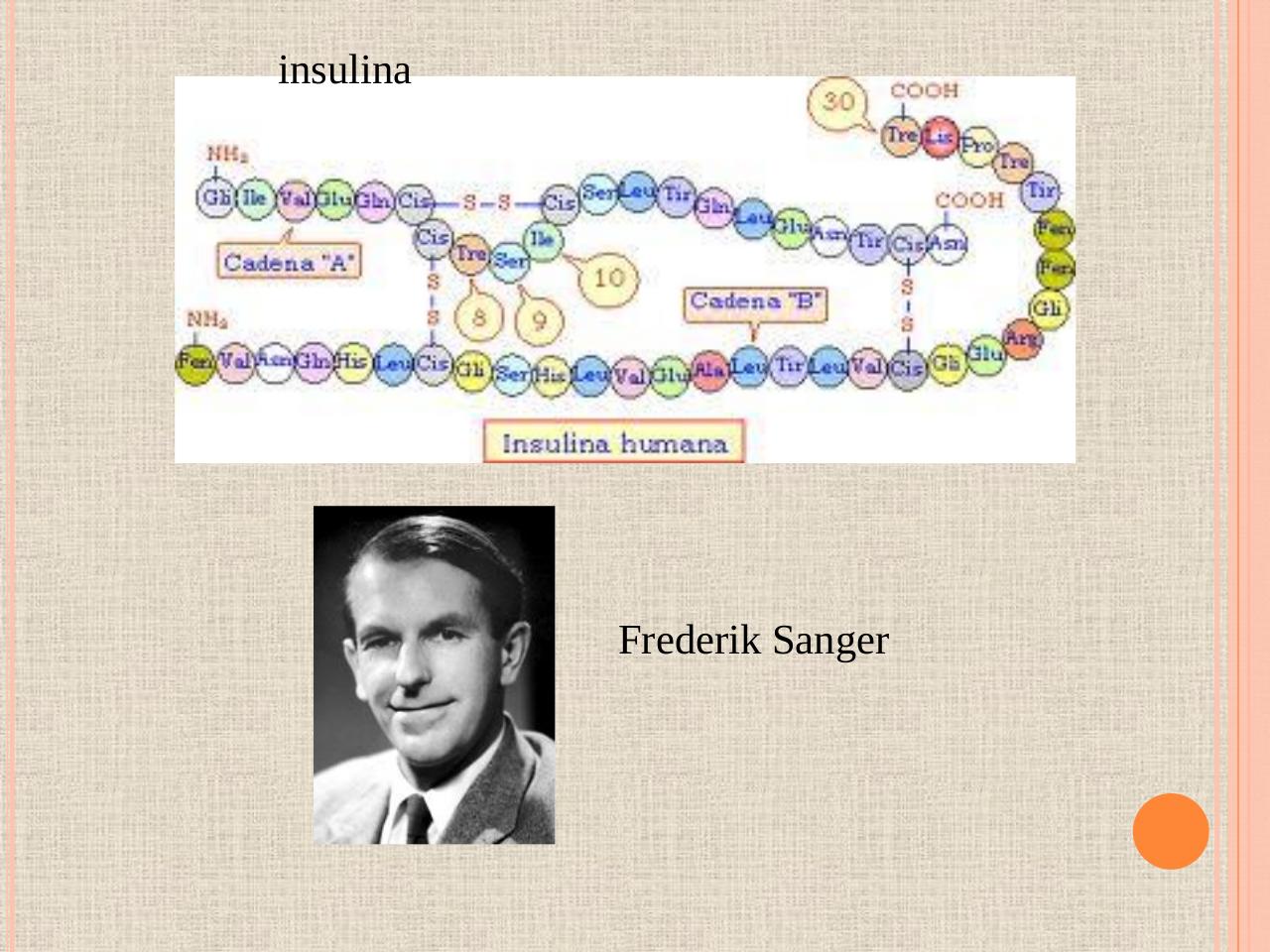 Vista previa del archivo PDF biologia-proteinas-pdf.pdf