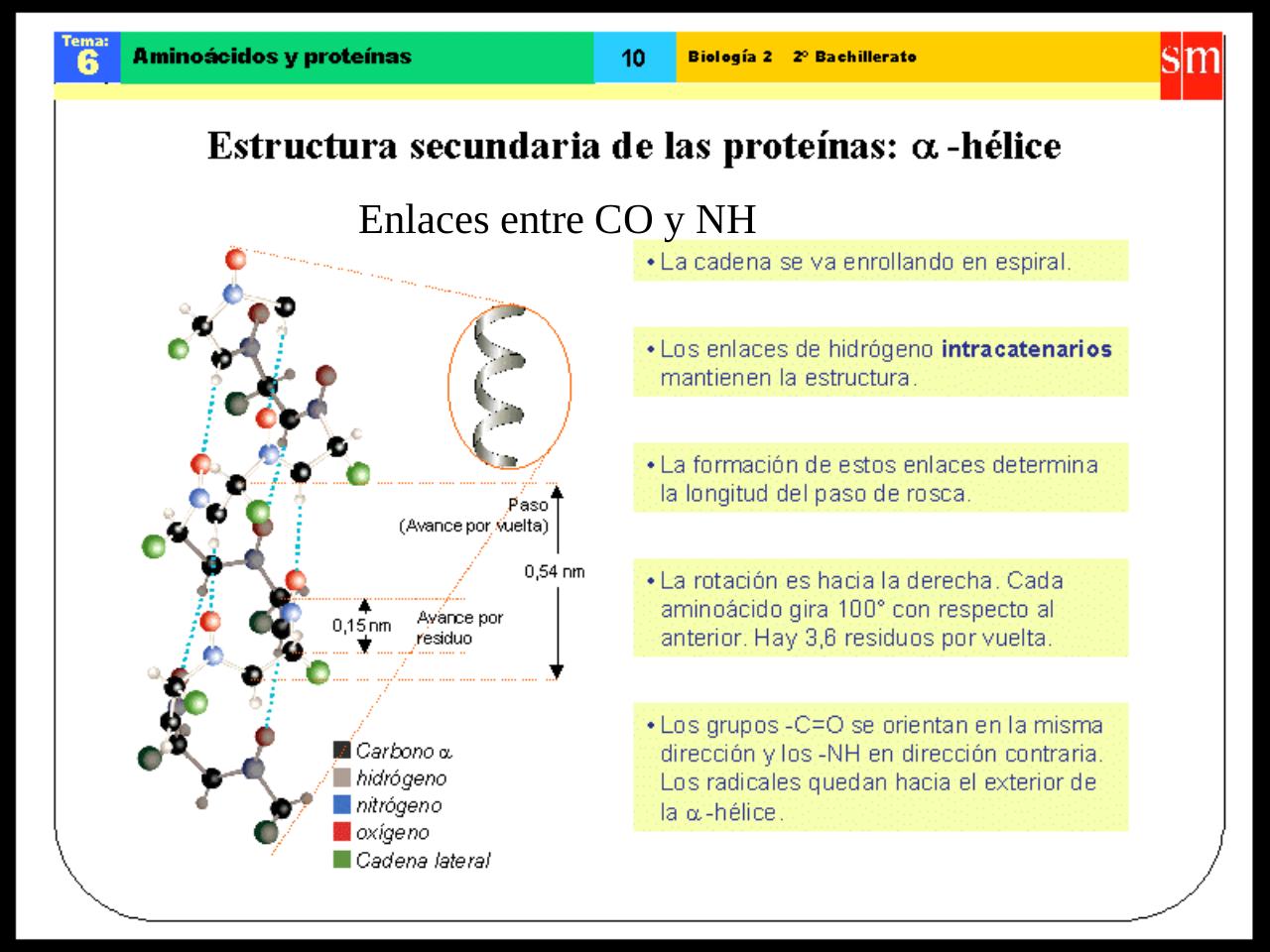 Vista previa del archivo PDF biologia-proteinas-pdf.pdf