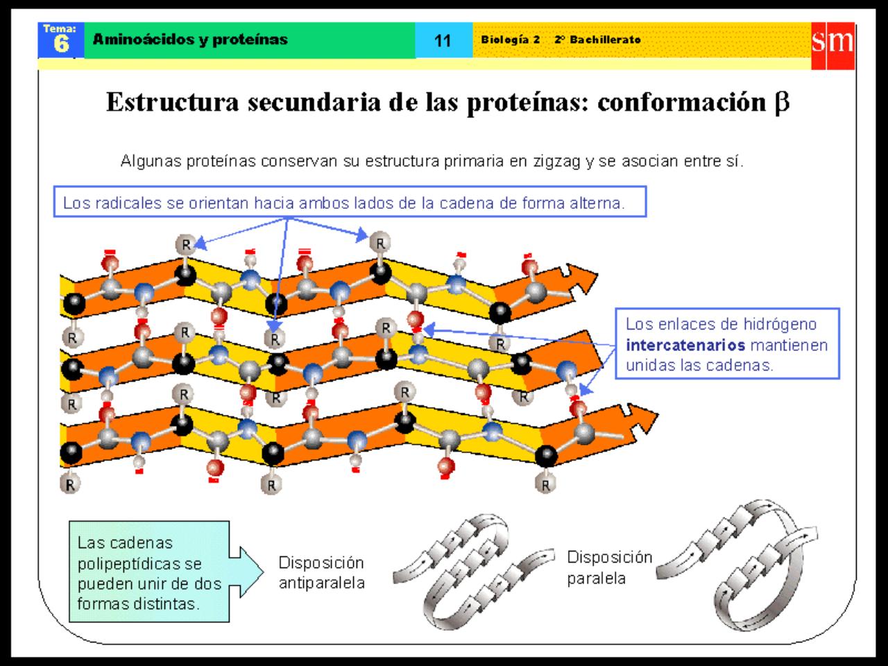 Vista previa del archivo PDF biologia-proteinas-pdf.pdf