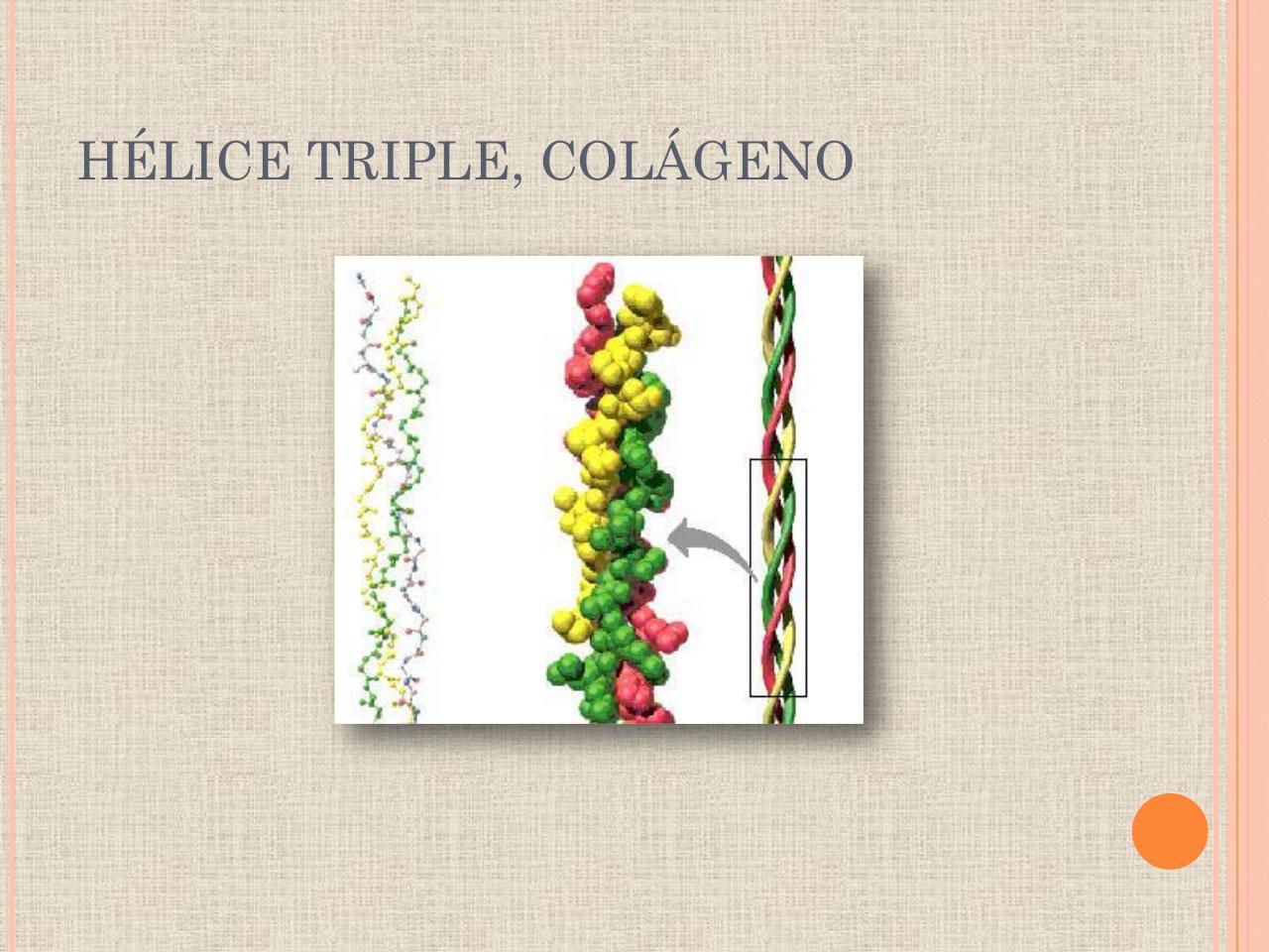 Vista previa del archivo PDF biologia-proteinas-pdf.pdf