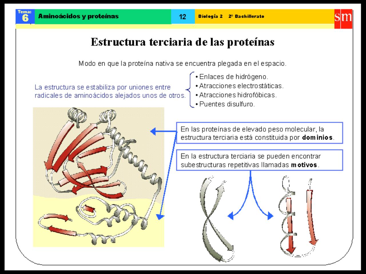Vista previa del archivo PDF biologia-proteinas-pdf.pdf