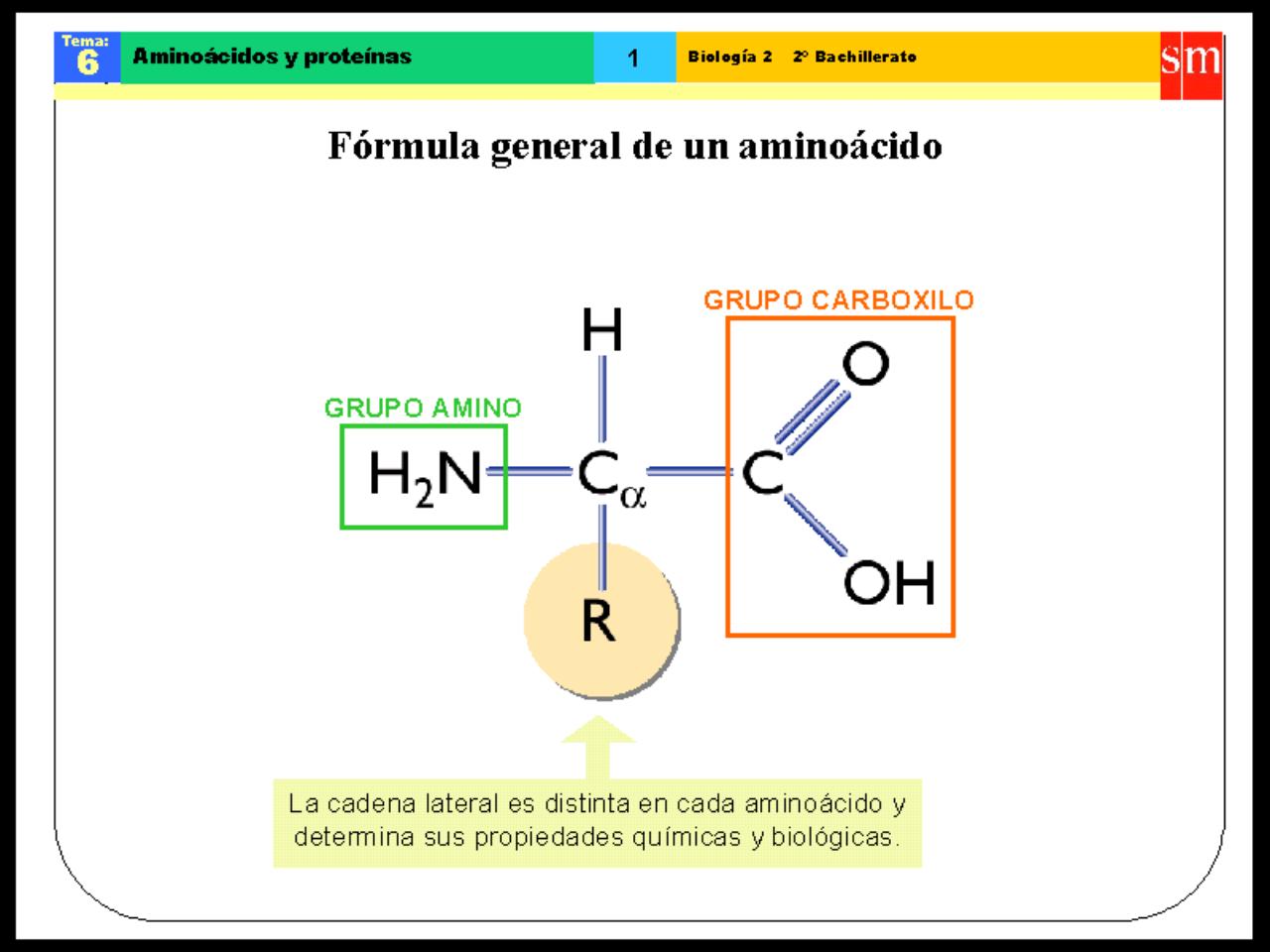 Vista previa del archivo PDF biologia-proteinas-pdf.pdf