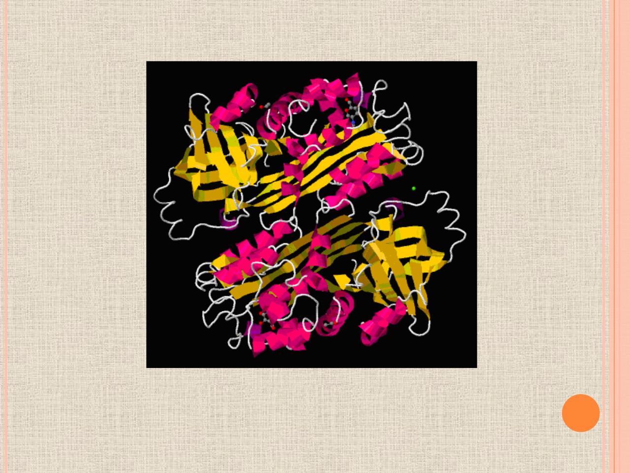 Vista previa del archivo PDF biologia-proteinas-pdf.pdf