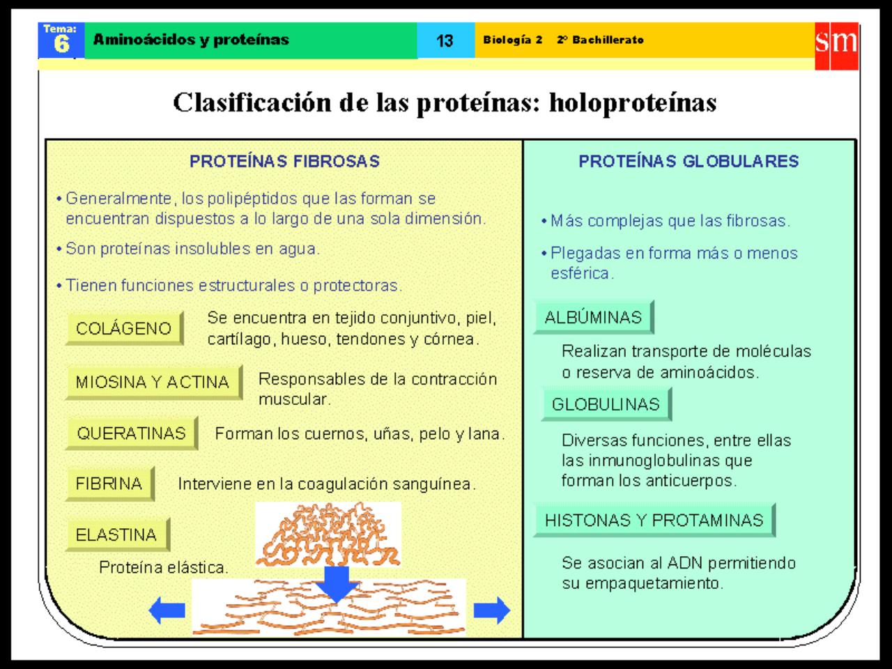Vista previa del archivo PDF biologia-proteinas-pdf.pdf