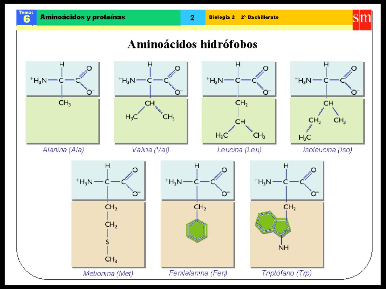 Vista previa del archivo PDF biologia-proteinas-pdf.pdf