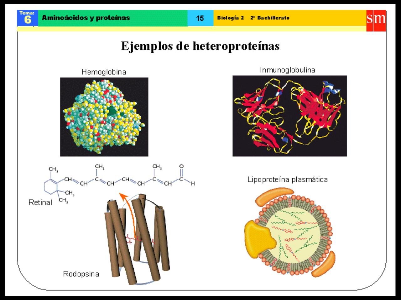 Vista previa del archivo PDF biologia-proteinas-pdf.pdf