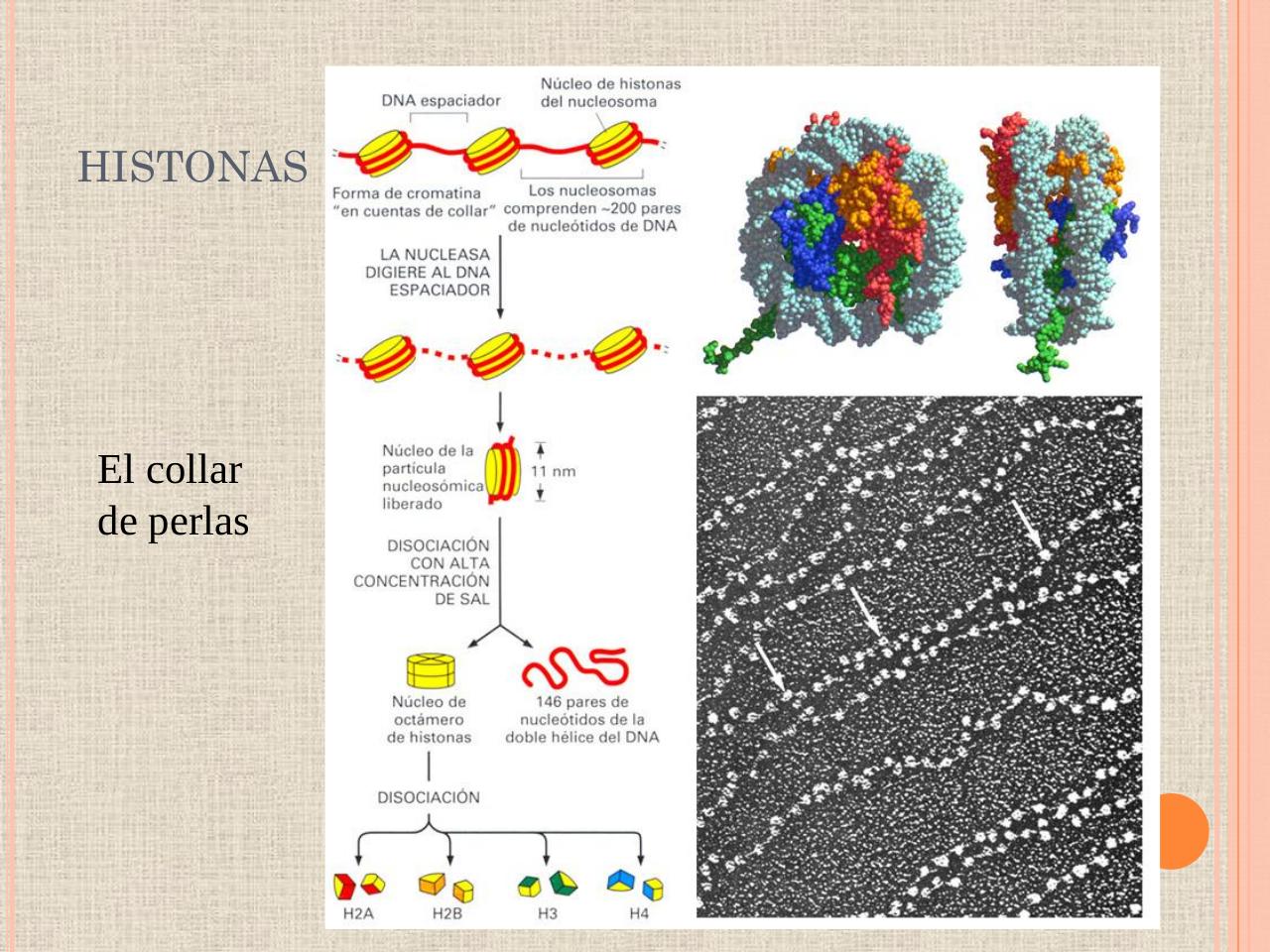 Vista previa del archivo PDF biologia-proteinas-pdf.pdf