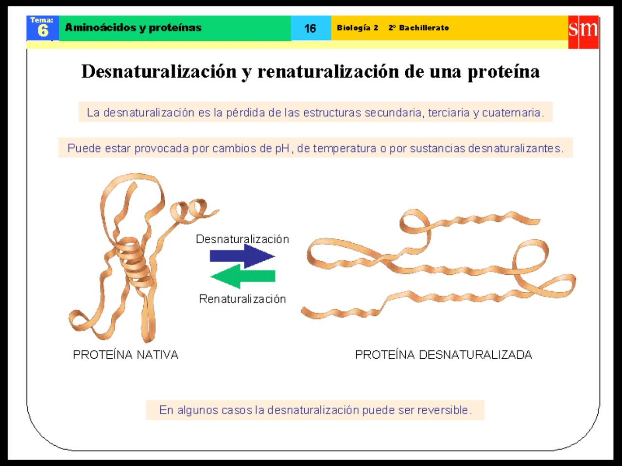 Vista previa del archivo PDF biologia-proteinas-pdf.pdf