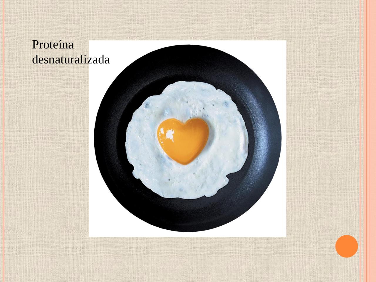 Vista previa del archivo PDF biologia-proteinas-pdf.pdf