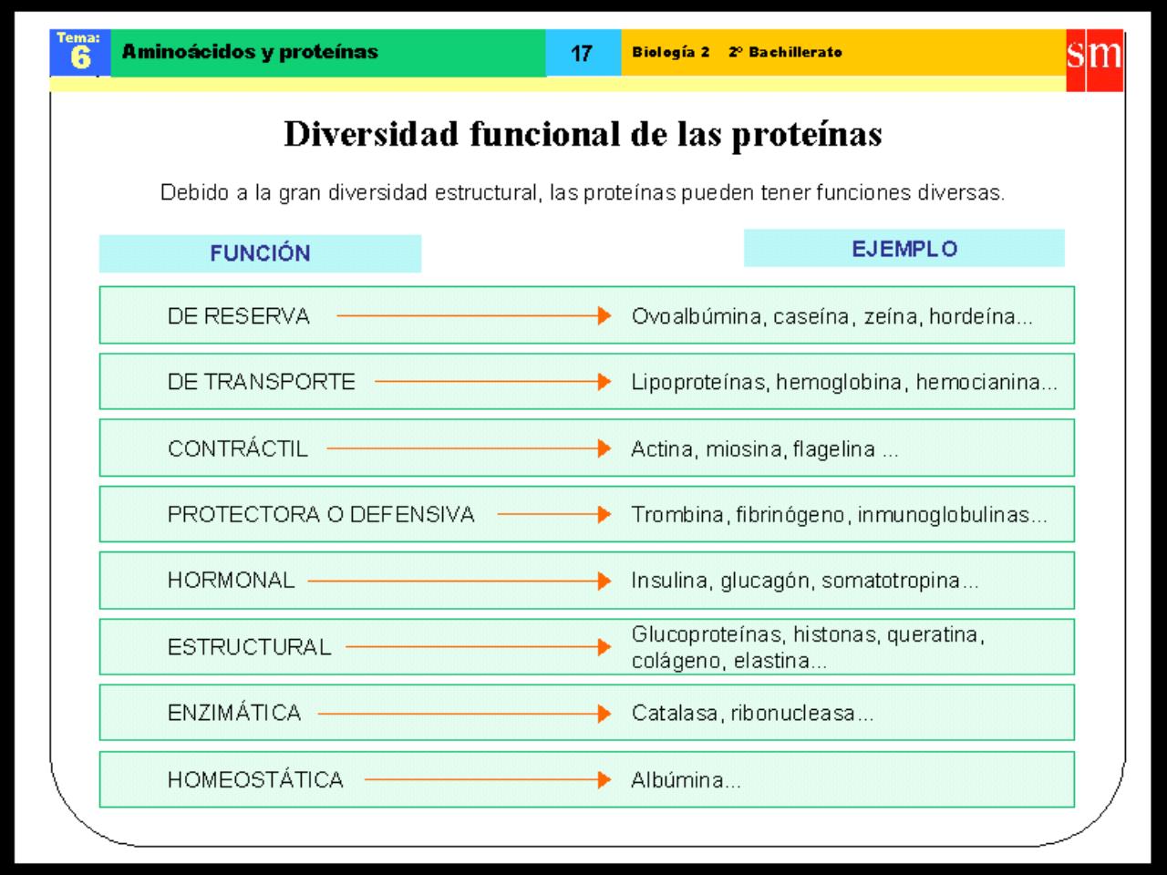 Vista previa del archivo PDF biologia-proteinas-pdf.pdf