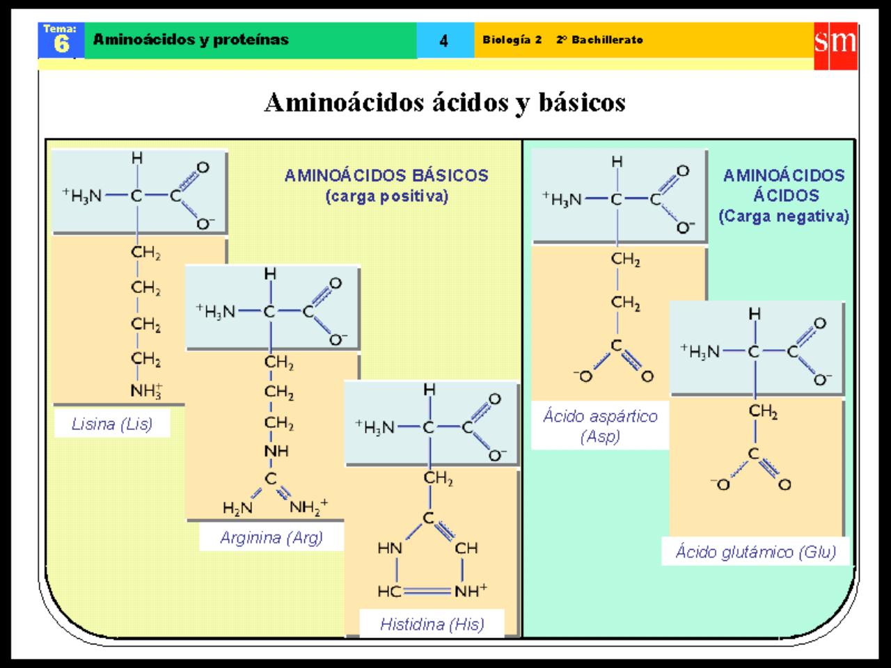 Vista previa del archivo PDF biologia-proteinas-pdf.pdf