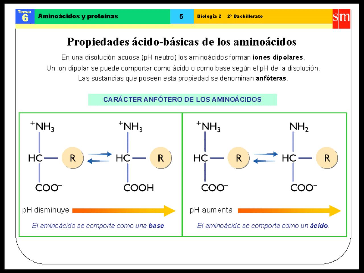 Vista previa del archivo PDF biologia-proteinas-pdf.pdf