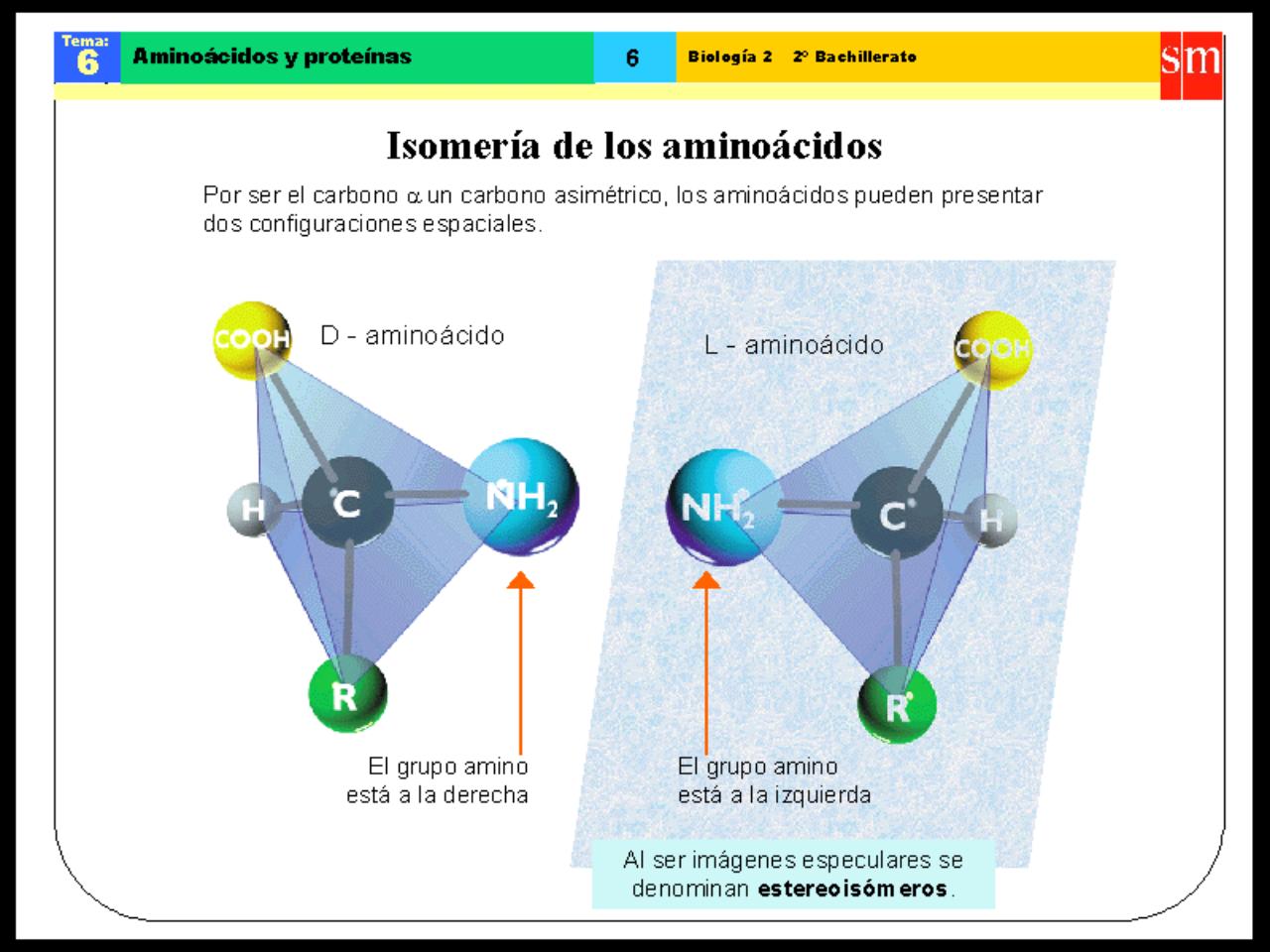 Vista previa del archivo PDF biologia-proteinas-pdf.pdf