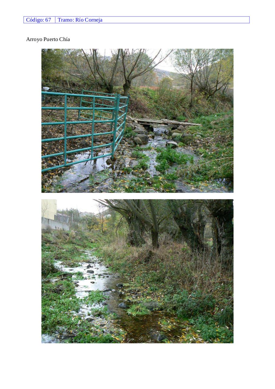 Vista previa del archivo PDF rio-corneja.pdf