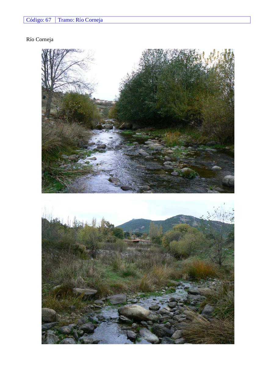 Vista previa del archivo PDF rio-corneja.pdf