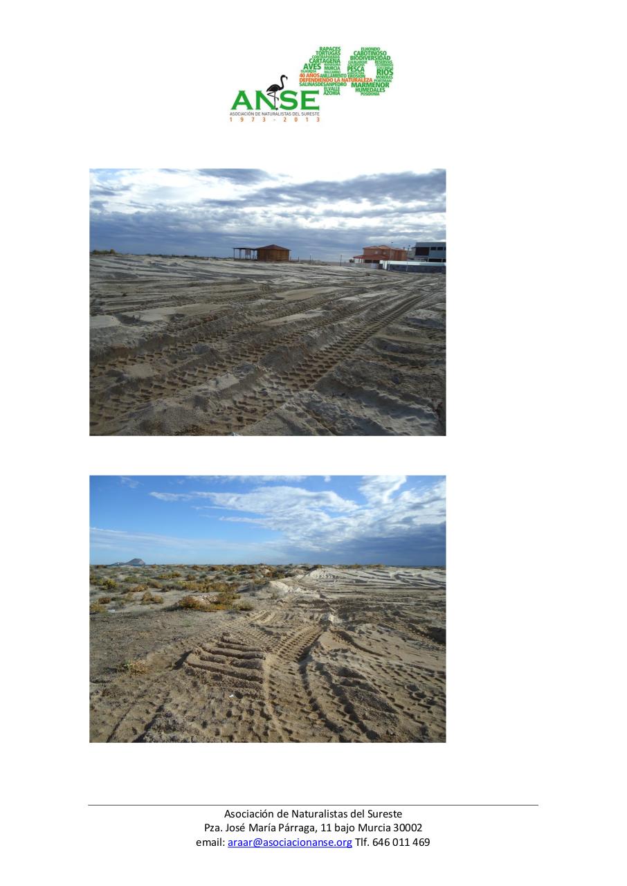 Vista previa del archivo PDF echinophora.pdf