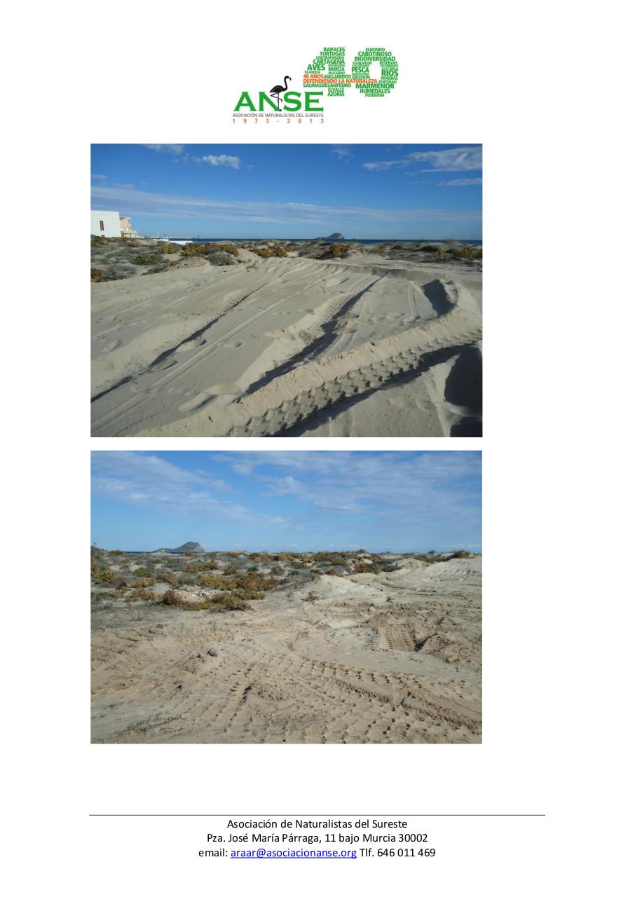 Vista previa del archivo PDF echinophora.pdf