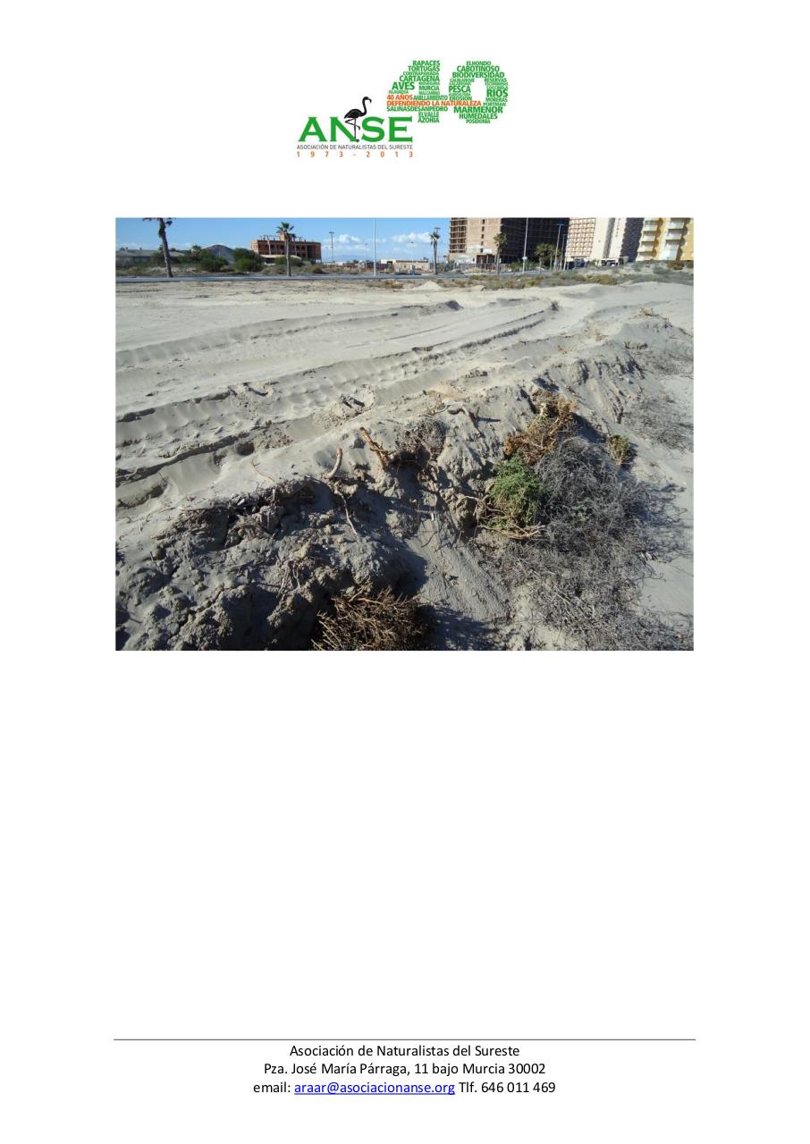 Vista previa del archivo PDF echinophora.pdf