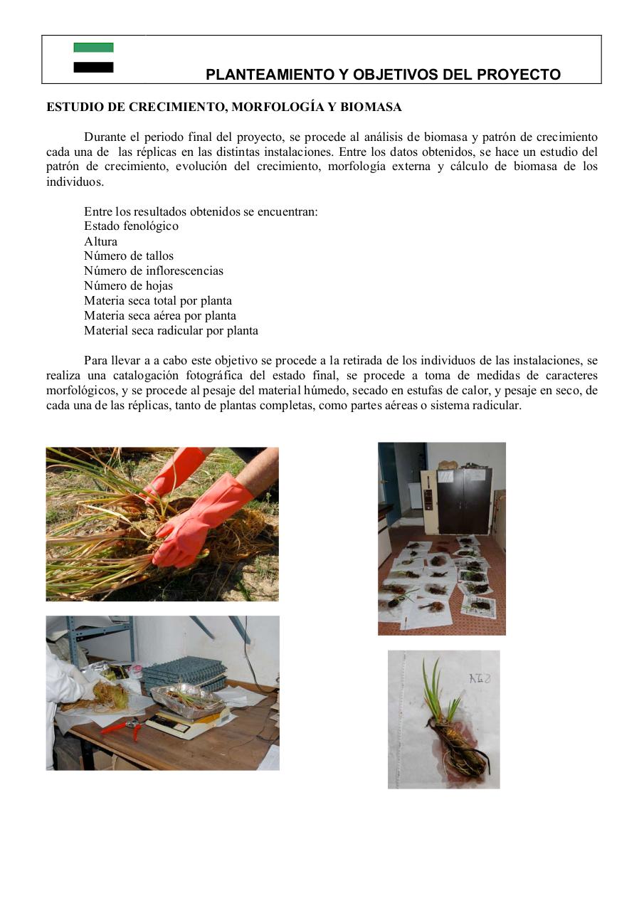 Vista previa del archivo PDF 0informe-final-pdt06b026-plantas-acuaticas0-1.pdf