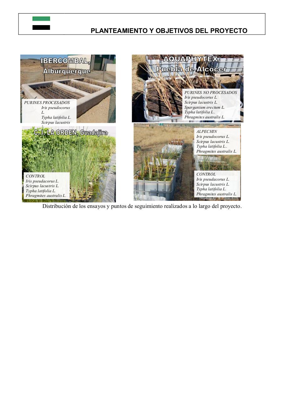 Vista previa del archivo PDF 0informe-final-pdt06b026-plantas-acuaticas0-1.pdf