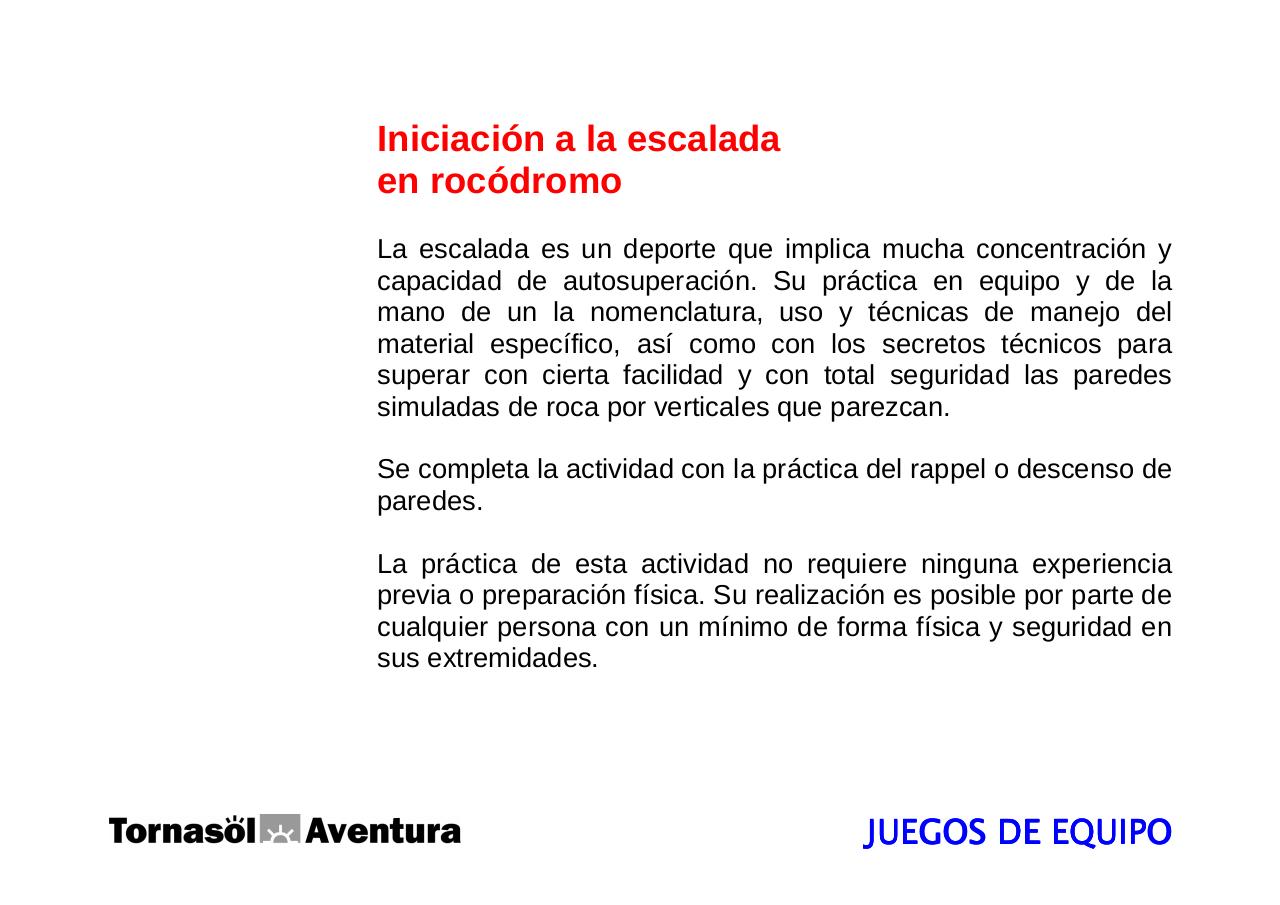 Vista previa del archivo PDF manualdescripcionteambuilding2008.pdf