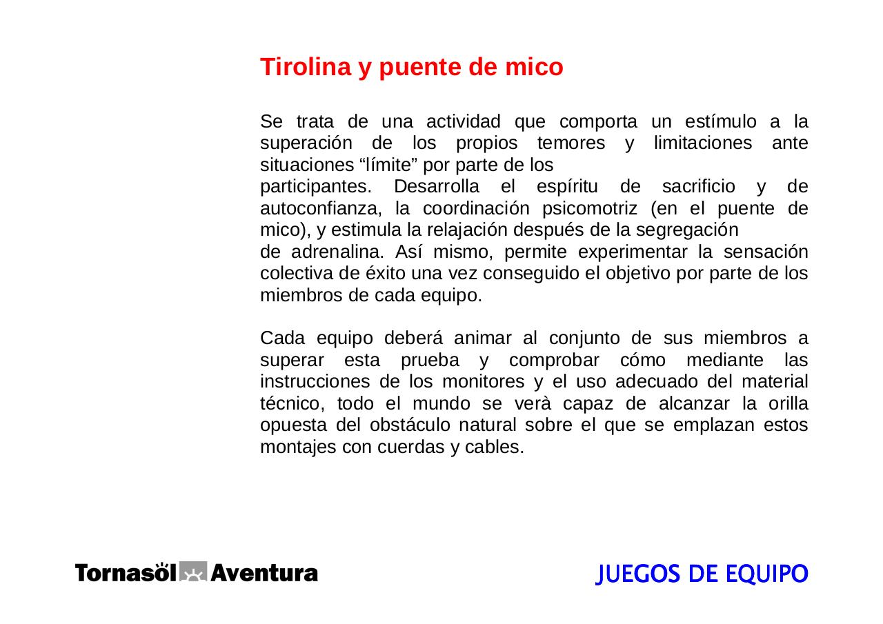 Vista previa del archivo PDF manualdescripcionteambuilding2008.pdf
