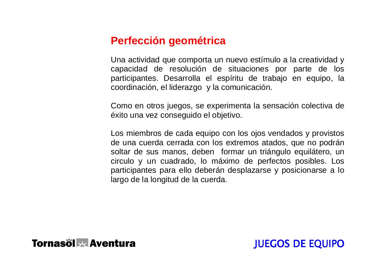 Vista previa del archivo PDF manualdescripcionteambuilding2008.pdf