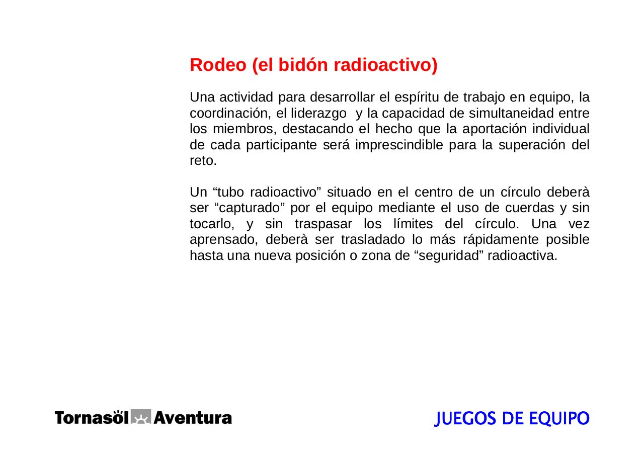 Vista previa del archivo PDF manualdescripcionteambuilding2008.pdf