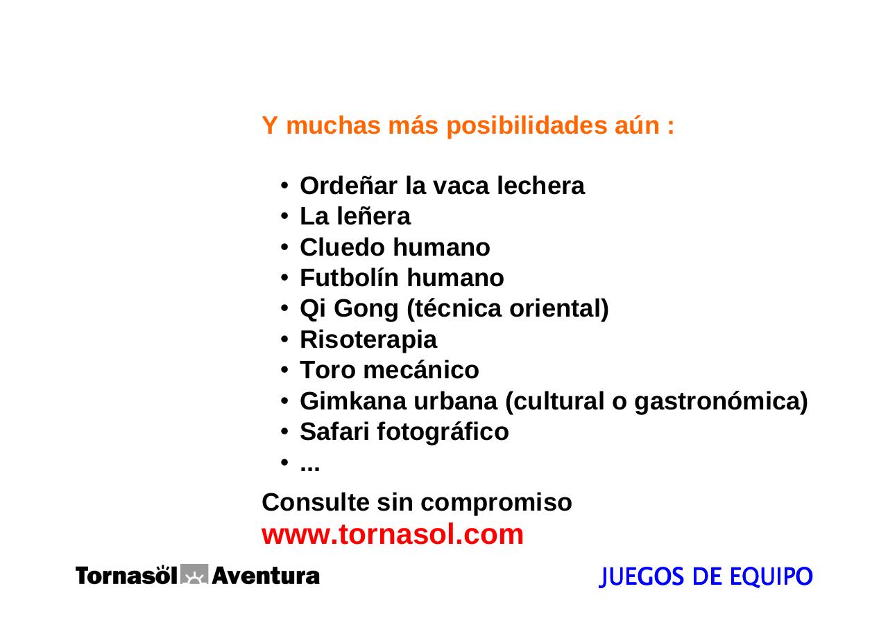 Vista previa del archivo PDF manualdescripcionteambuilding2008.pdf