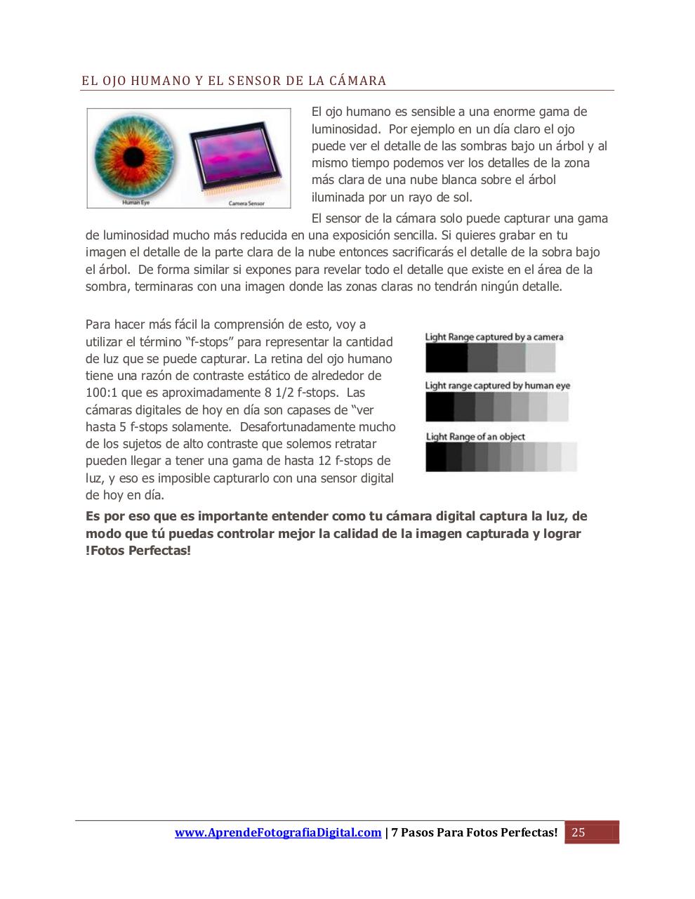 Vista previa del archivo PDF 7-pasos-edicion-1.pdf