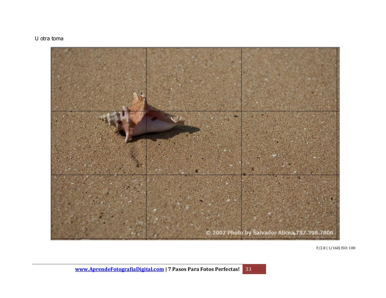 Vista previa del archivo PDF 7-pasos-edicion-1.pdf