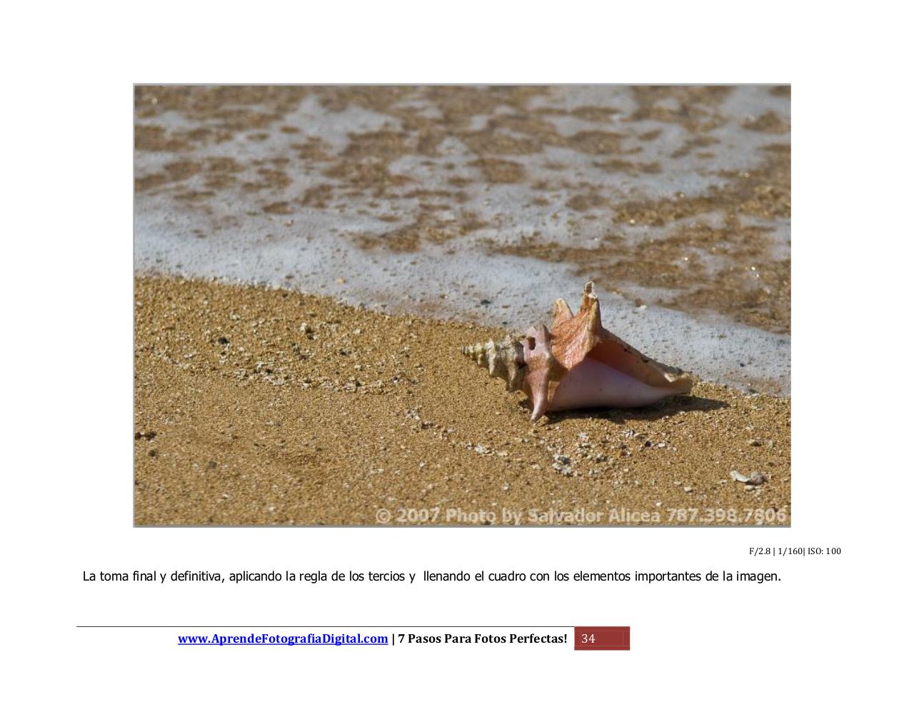 Vista previa del archivo PDF 7-pasos-edicion-1.pdf