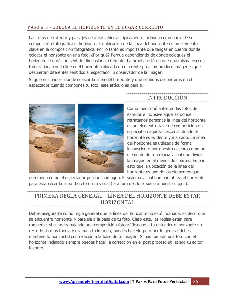 Vista previa del archivo PDF 7-pasos-edicion-1.pdf