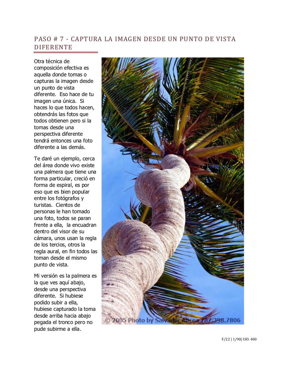 Vista previa del archivo PDF 7-pasos-edicion-1.pdf