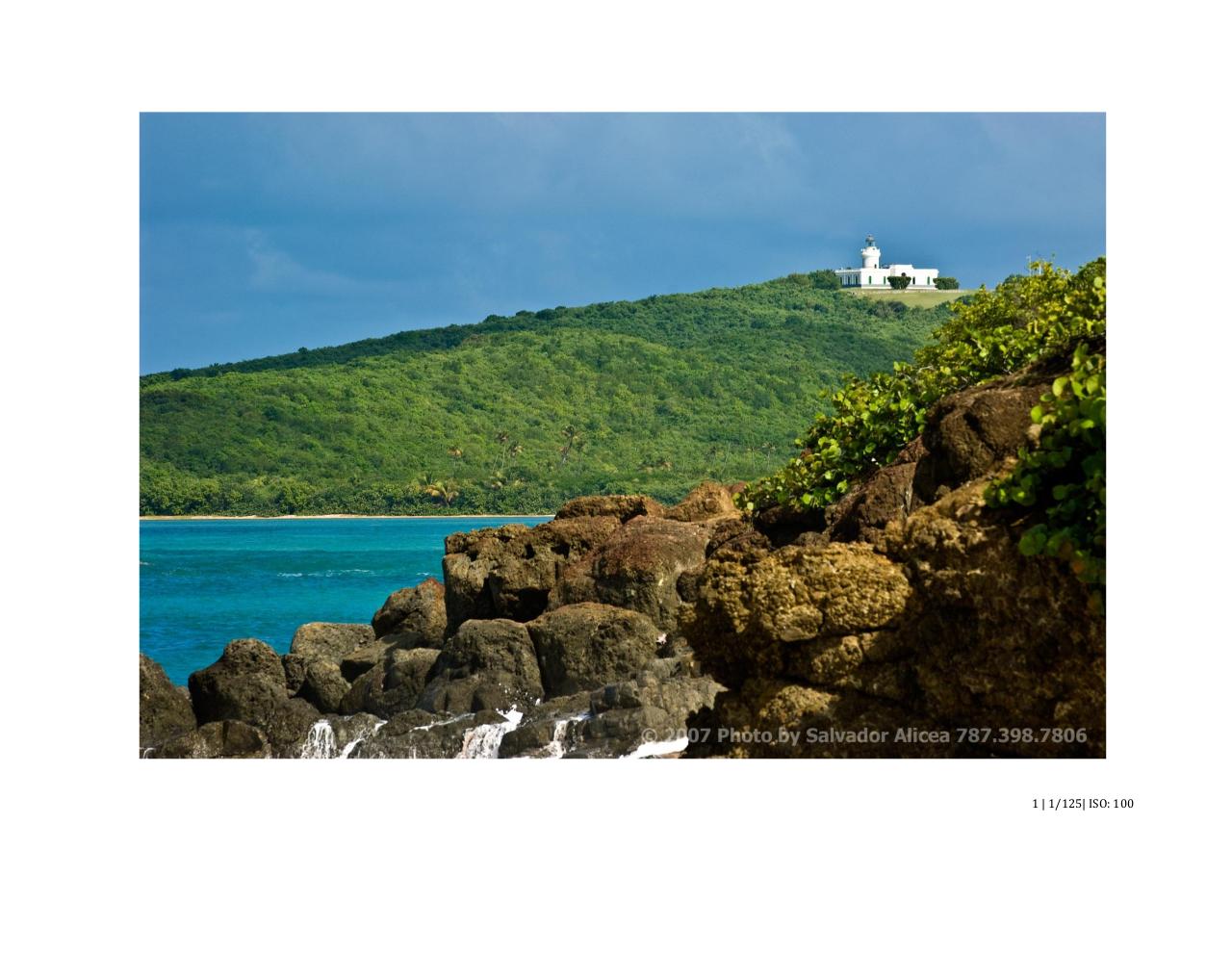 Vista previa del archivo PDF 7-pasos-edicion-1.pdf