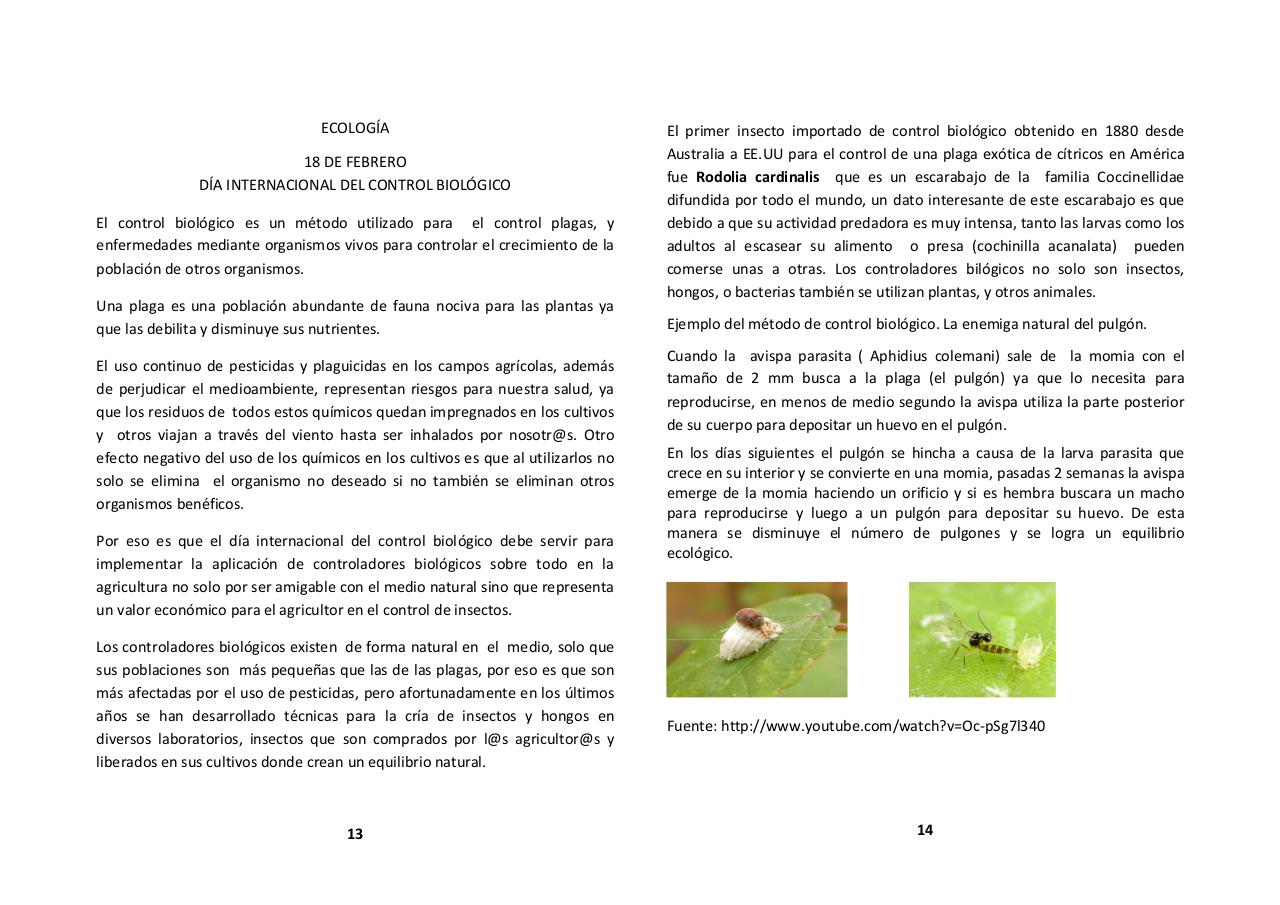 Vista previa del archivo PDF fanzine-virtual.pdf