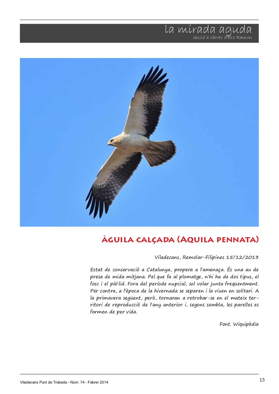 Vista previa del archivo PDF pdt-74.pdf