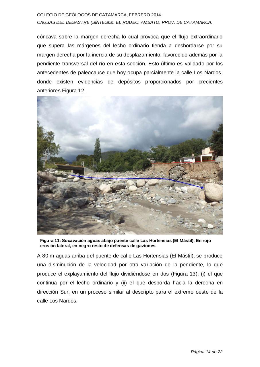 Vista previa del archivo PDF 140228-causas-aluvion-el-rodeo-s-ntesis.pdf