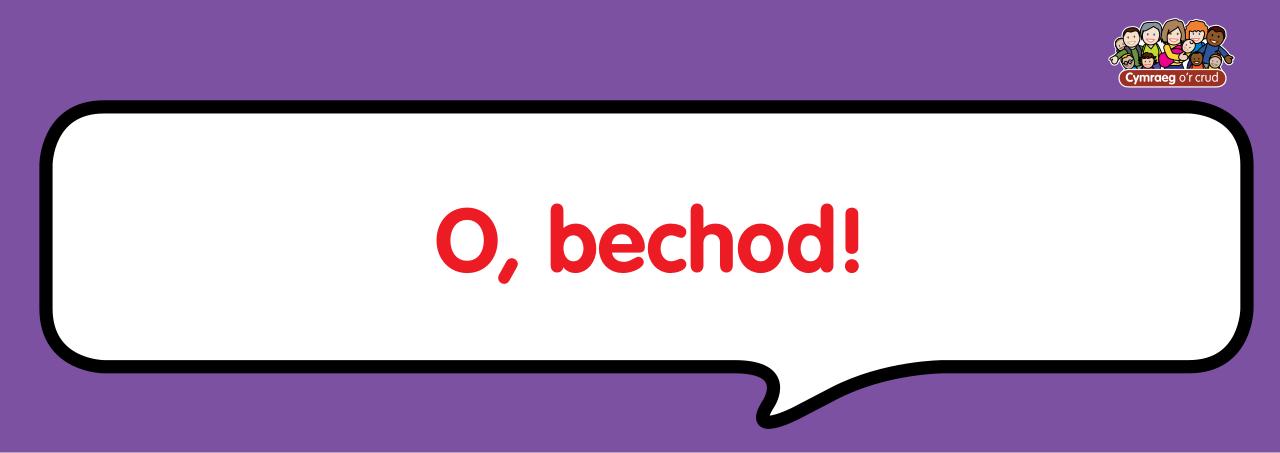 Vista previa del archivo PDF cardiau-fflach.pdf