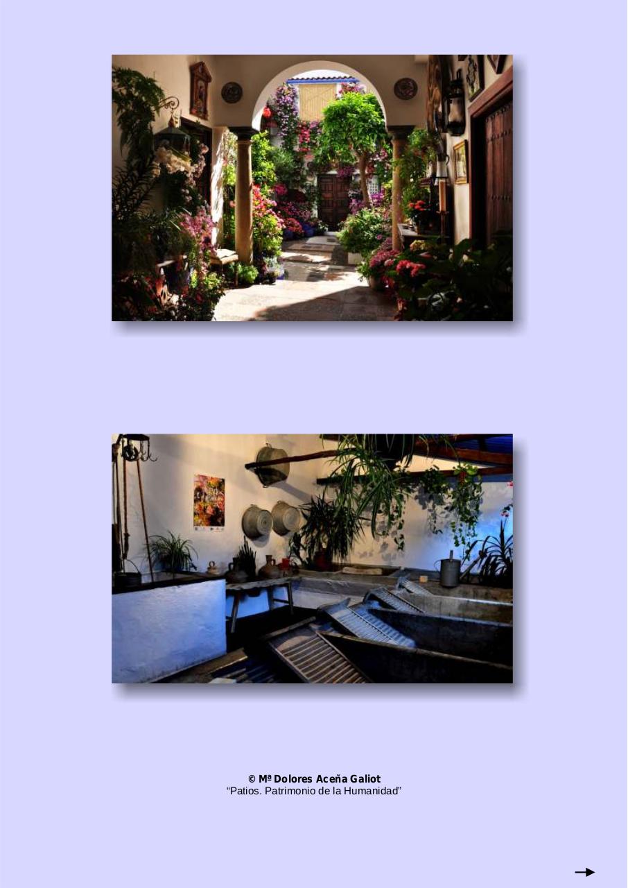 Vista previa del archivo PDF 77-news-marzo-2014.pdf