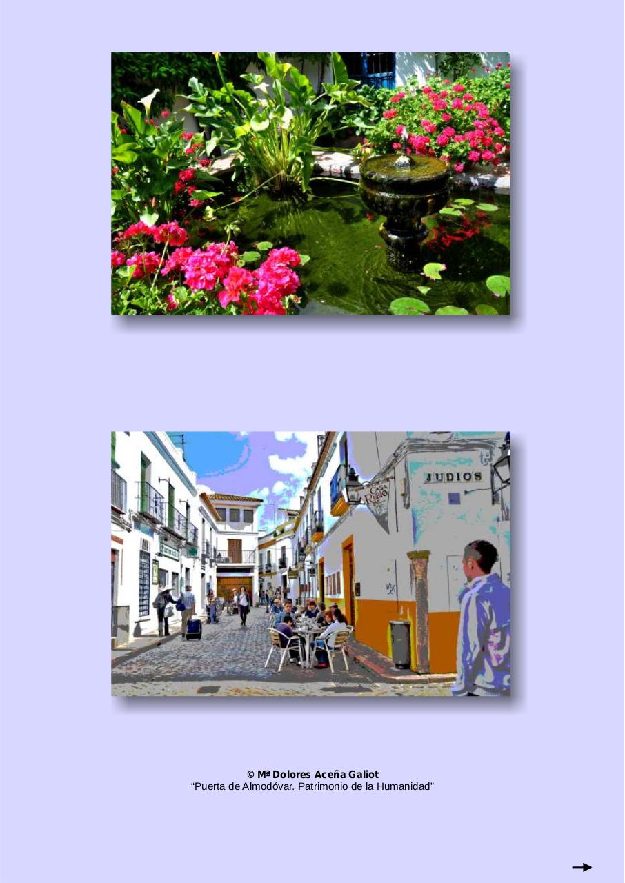 Vista previa del archivo PDF 77-news-marzo-2014.pdf