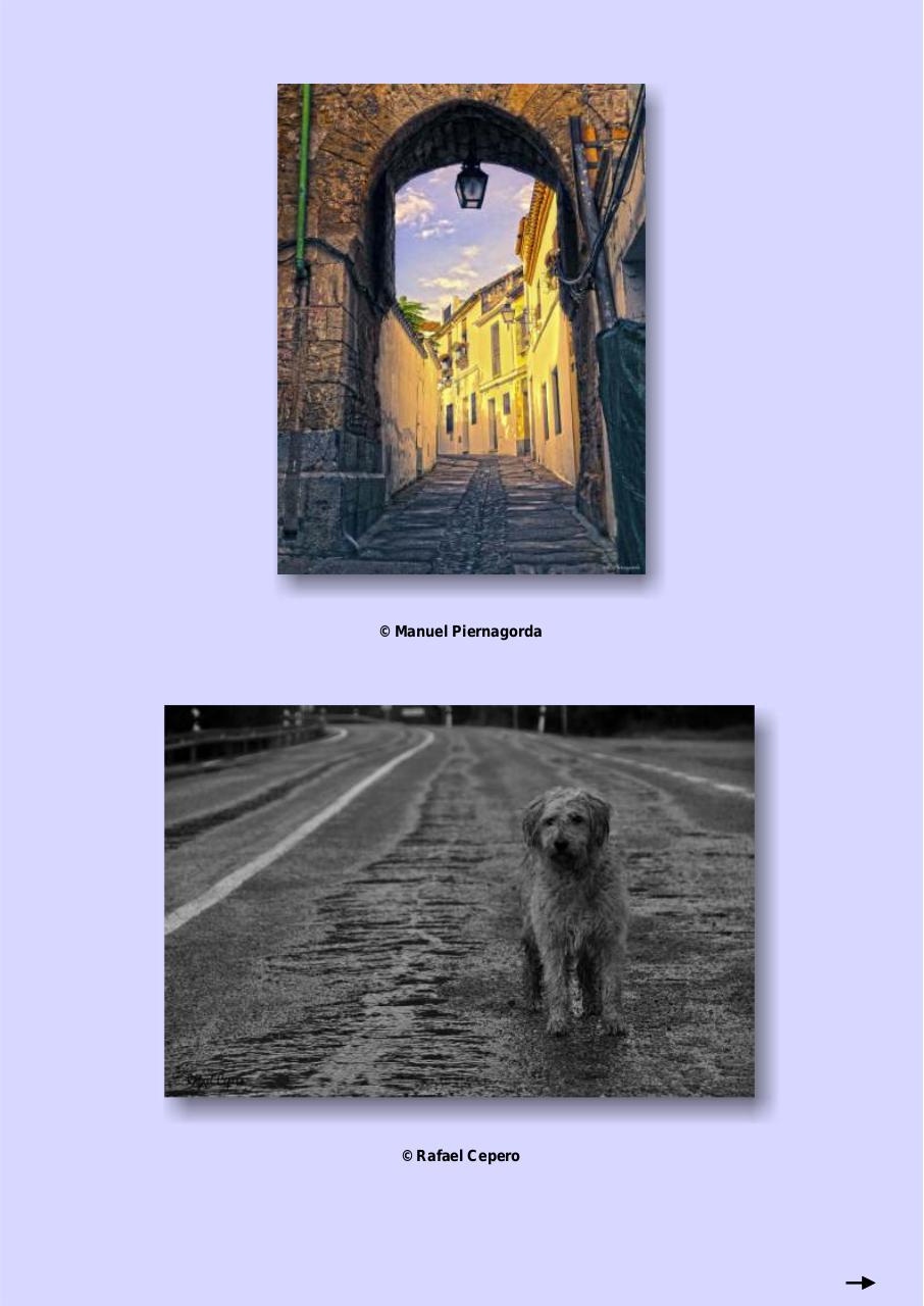 Vista previa del archivo PDF 77-news-marzo-2014.pdf