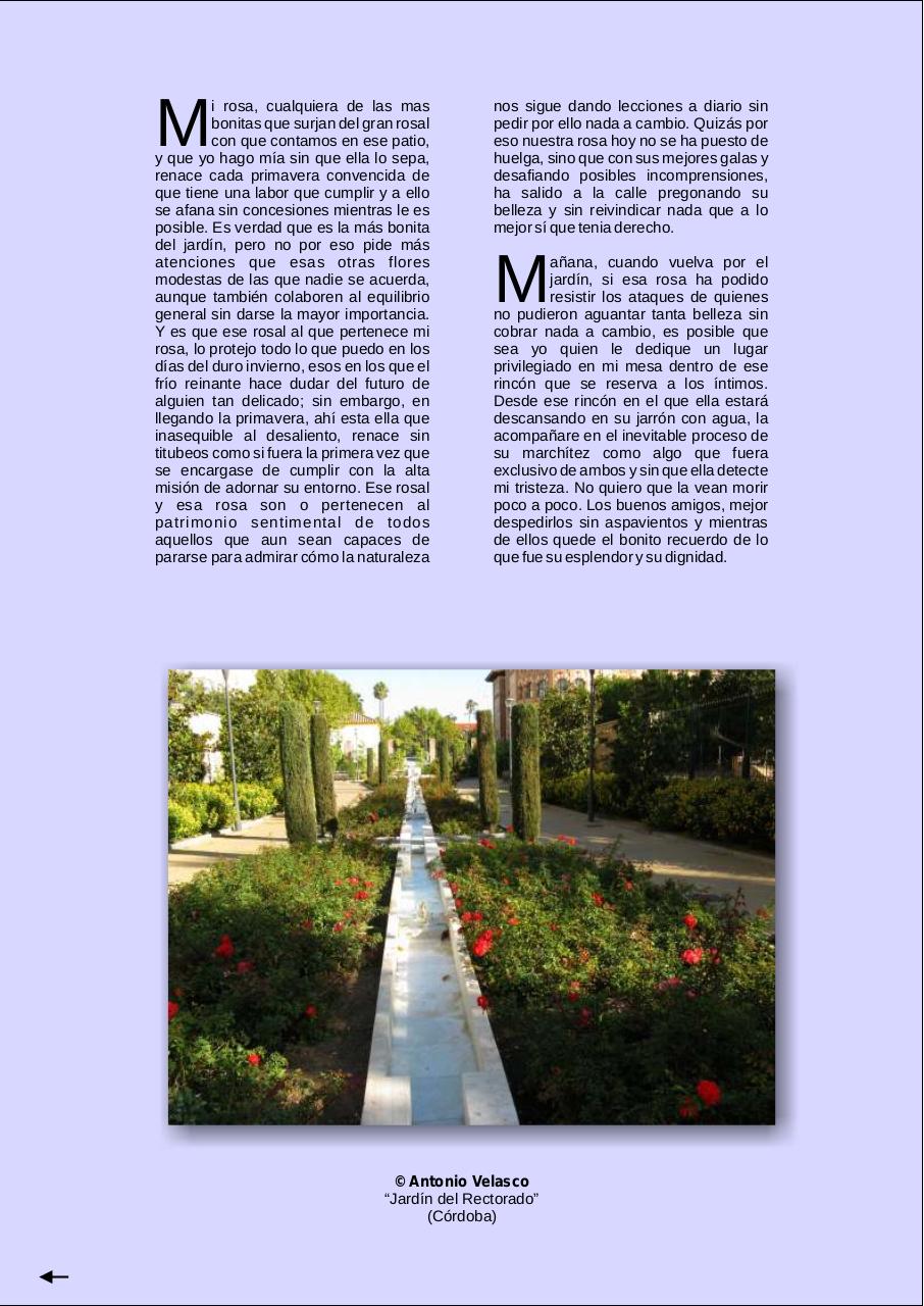 Vista previa del archivo PDF 77-news-marzo-2014.pdf