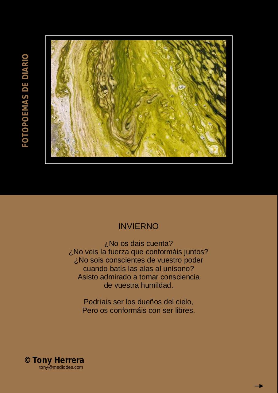 Vista previa del archivo PDF 77-news-marzo-2014.pdf