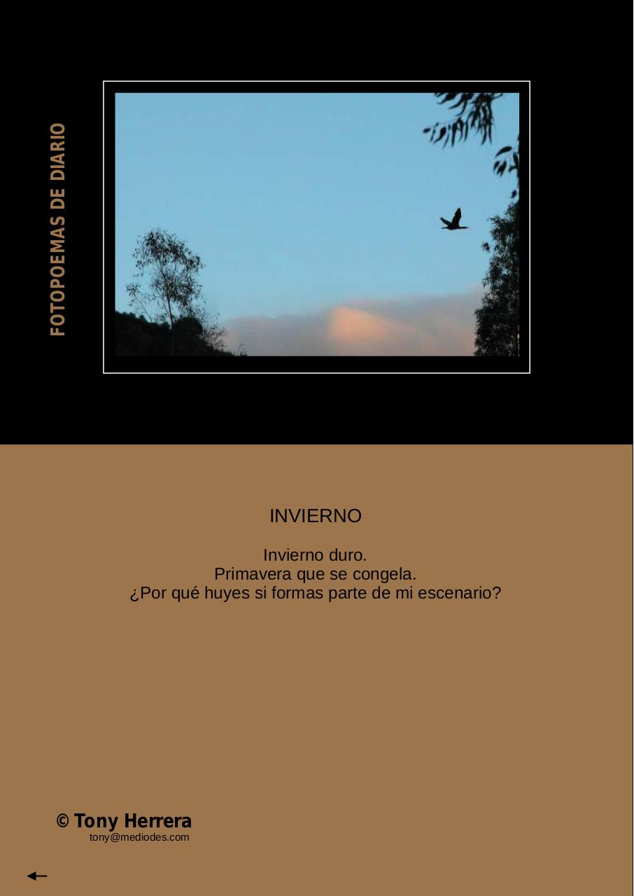 Vista previa del archivo PDF 77-news-marzo-2014.pdf