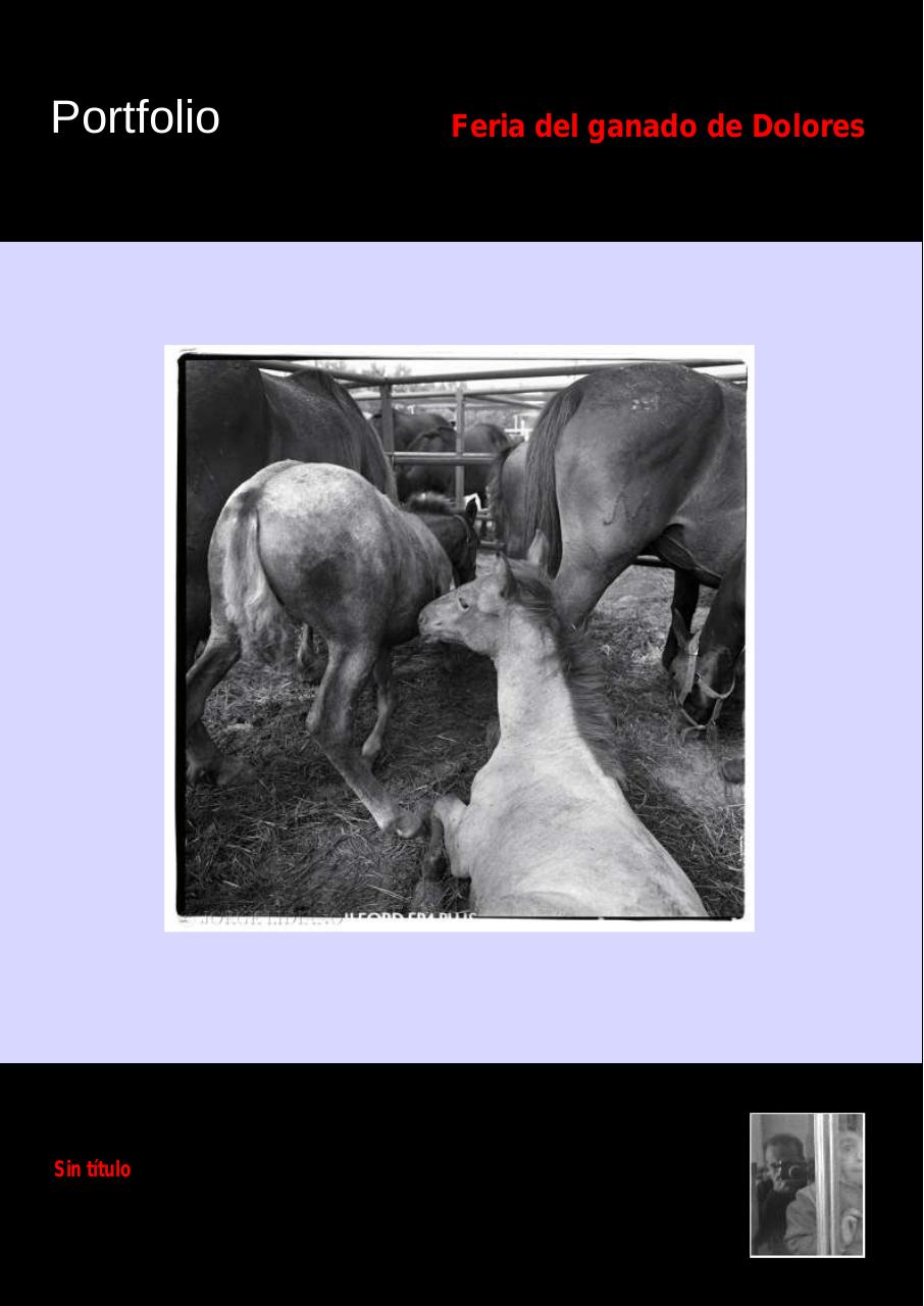 Vista previa del archivo PDF 77-news-marzo-2014.pdf