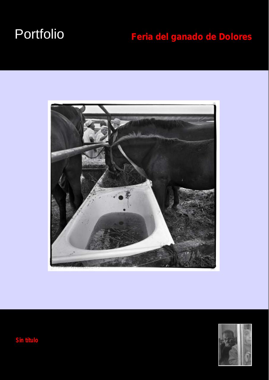 Vista previa del archivo PDF 77-news-marzo-2014.pdf