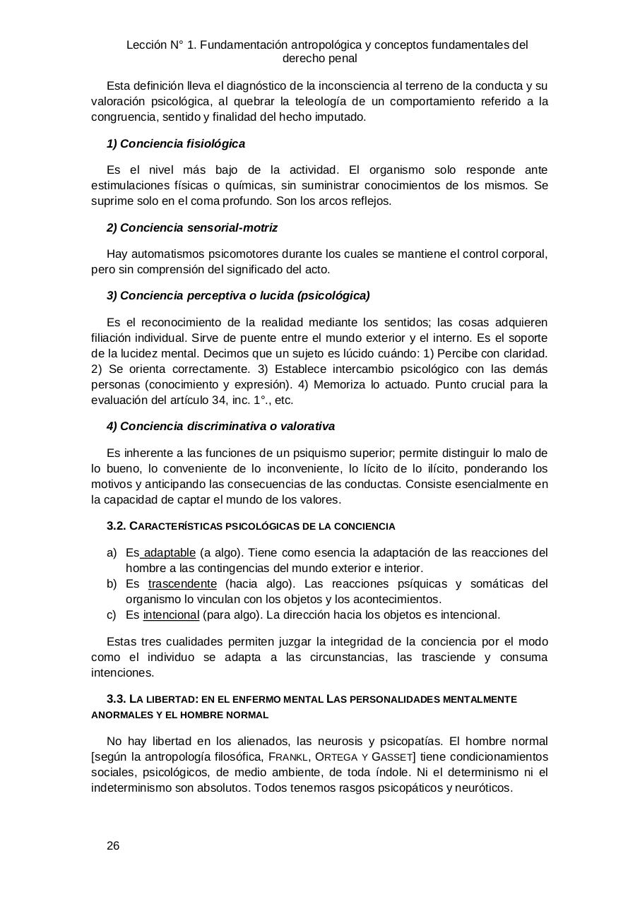 Vista previa del archivo PDF derecho-penal-i.pdf