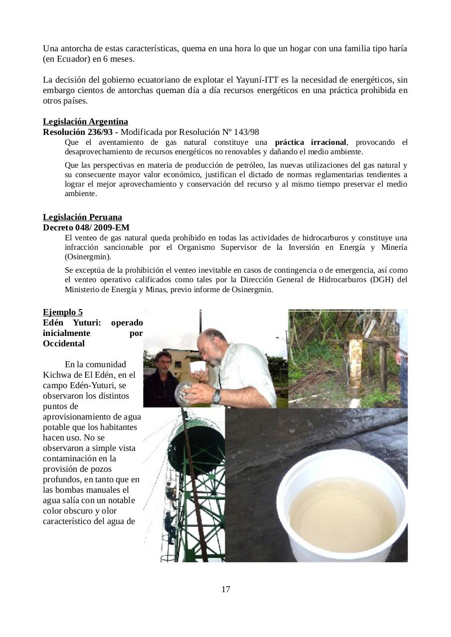 Vista previa del archivo PDF informe-petroamazonas-ecuador.pdf