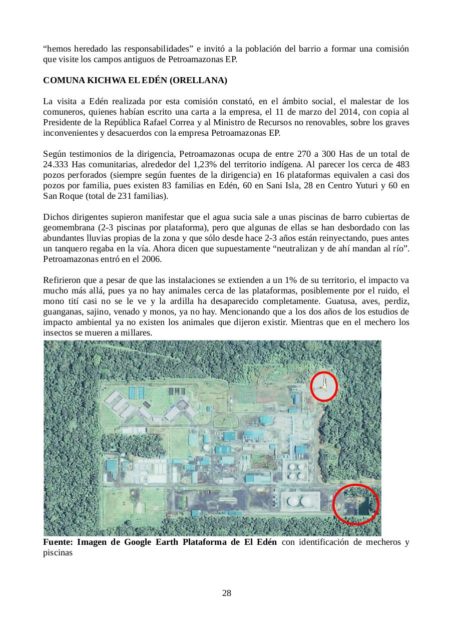 Vista previa del archivo PDF informe-petroamazonas-ecuador.pdf